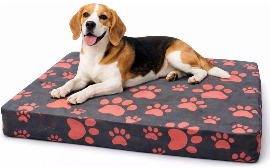 Cama Colchoneta Mascota Confort 100x70x10cm Confort Pets