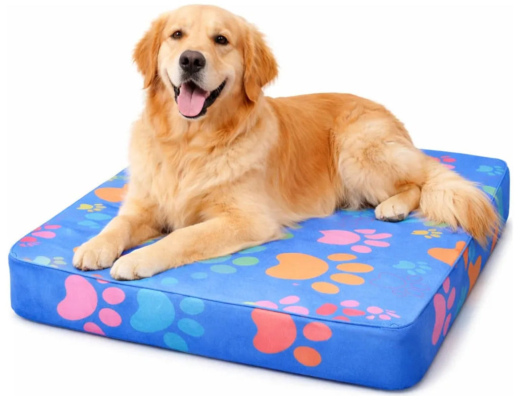 Cama Colchoneta Mascota Confort 100x70x10cm Confort Pets