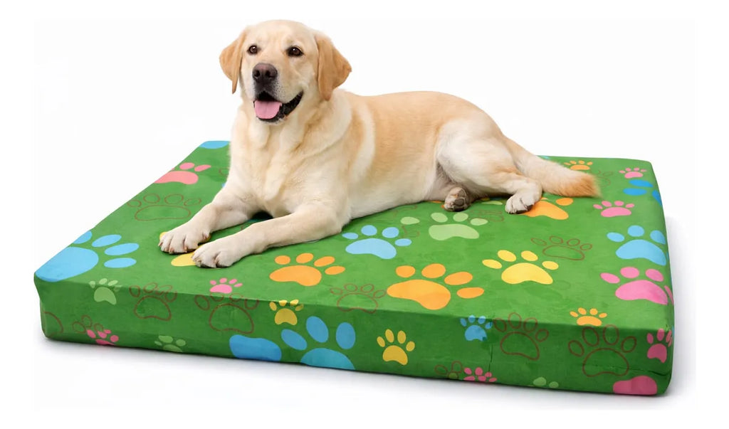 Cama Colchoneta Mascota Confort 100x70x10cm Confort Pets